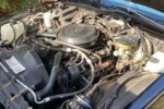 1984 Pontiac Parisienne Brougham - Image 6